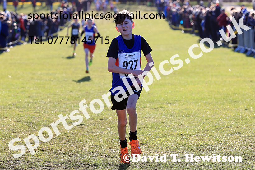 Boys under-13s 2025 Northern Cross Country Champs, Tatton Park, Knutsford, Cheshire. Photo: David T. Hewitson/Sports for All Pics